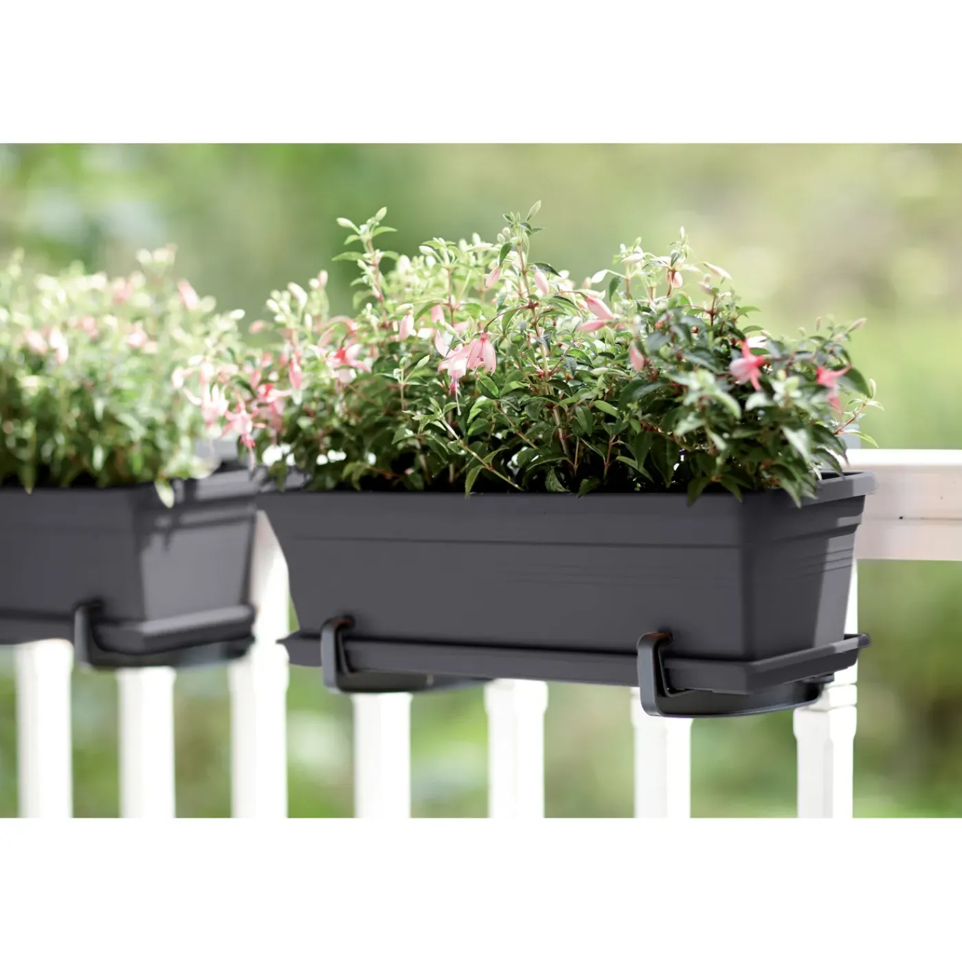 Elho balkonbak Green Basics 50cm living black