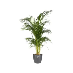 Elho bloempot brussels rond Ø25cm antraciet
