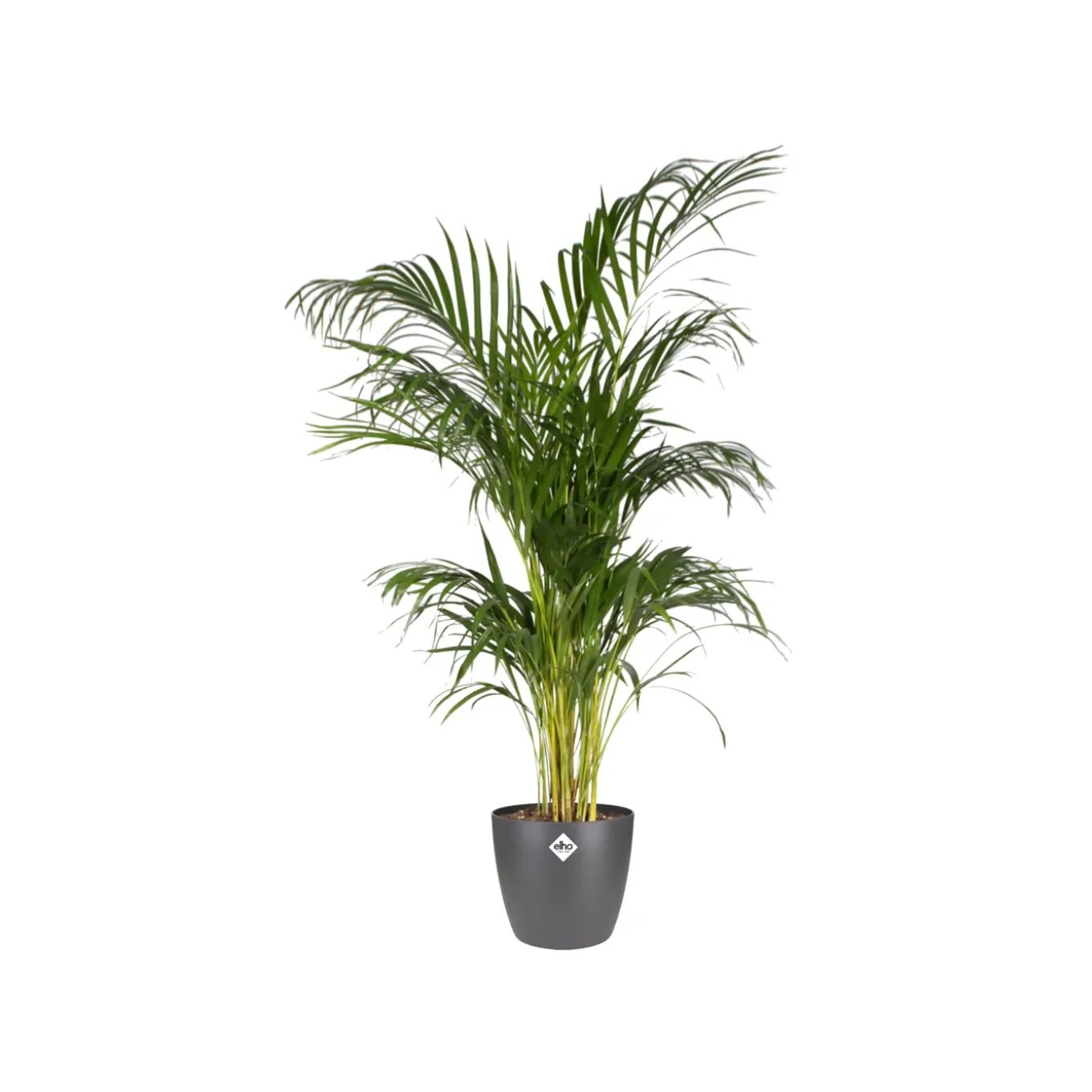 Elho Bloempot Brussels Rond - Kunststof - Zwart - Diam.14xH12,6cm