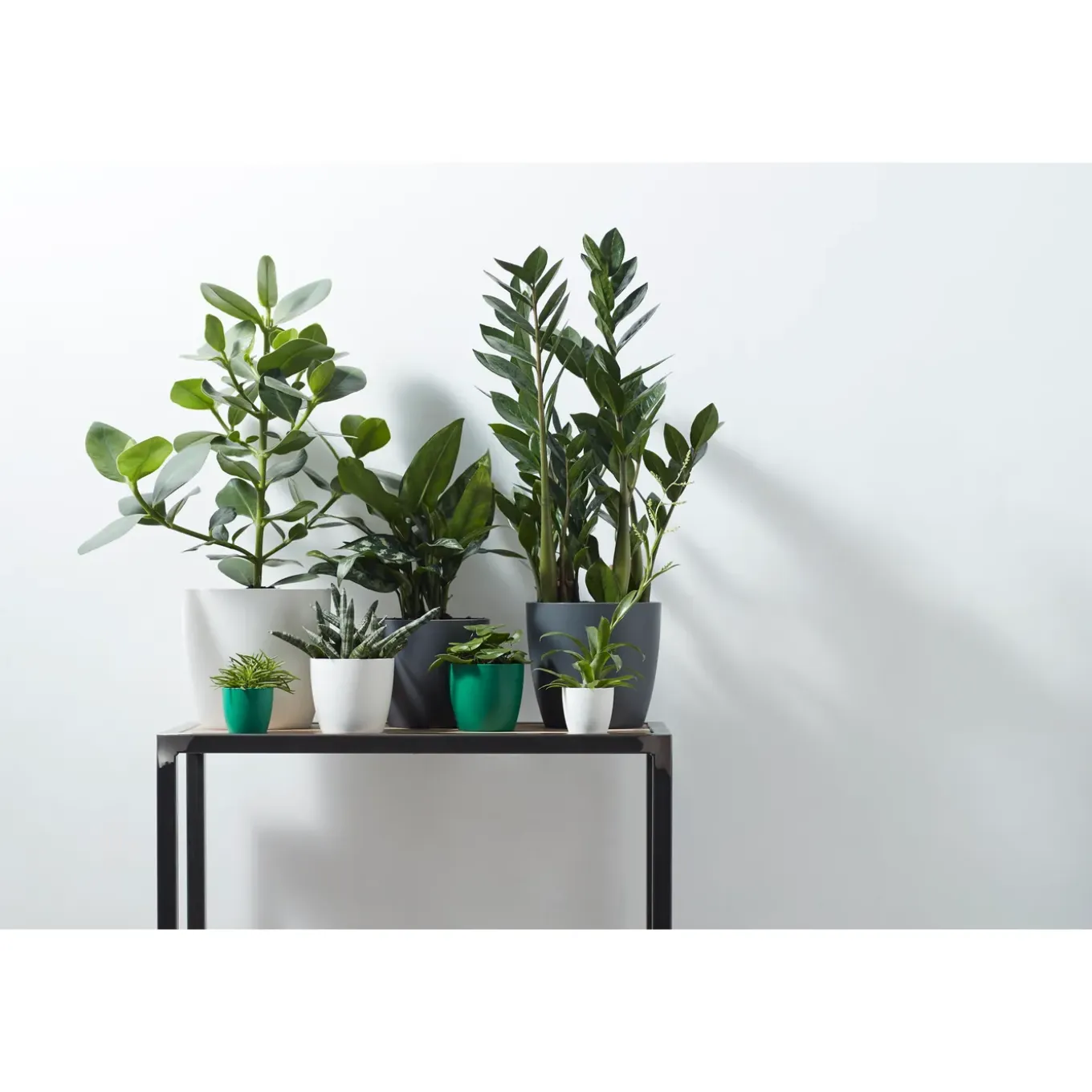 Elho Bloempot Brussels Rond - Kunststof - Zwart - Diam.14xH12,6cm
