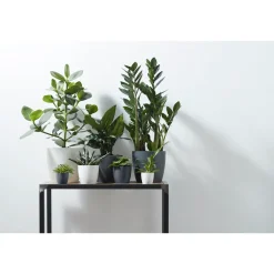 Elho Bloempot Brussels Rond Mini - Kunststof - Zwart - Diam.12,5xH11,5cm