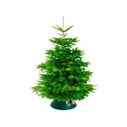 Elho kerstboomvoet Oslo kunststof 38cm