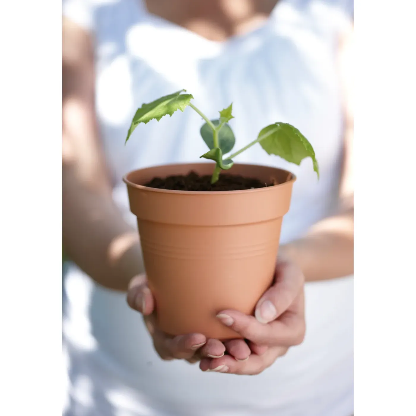 Elho kweekpot Green Basics Ø21cm mild terra