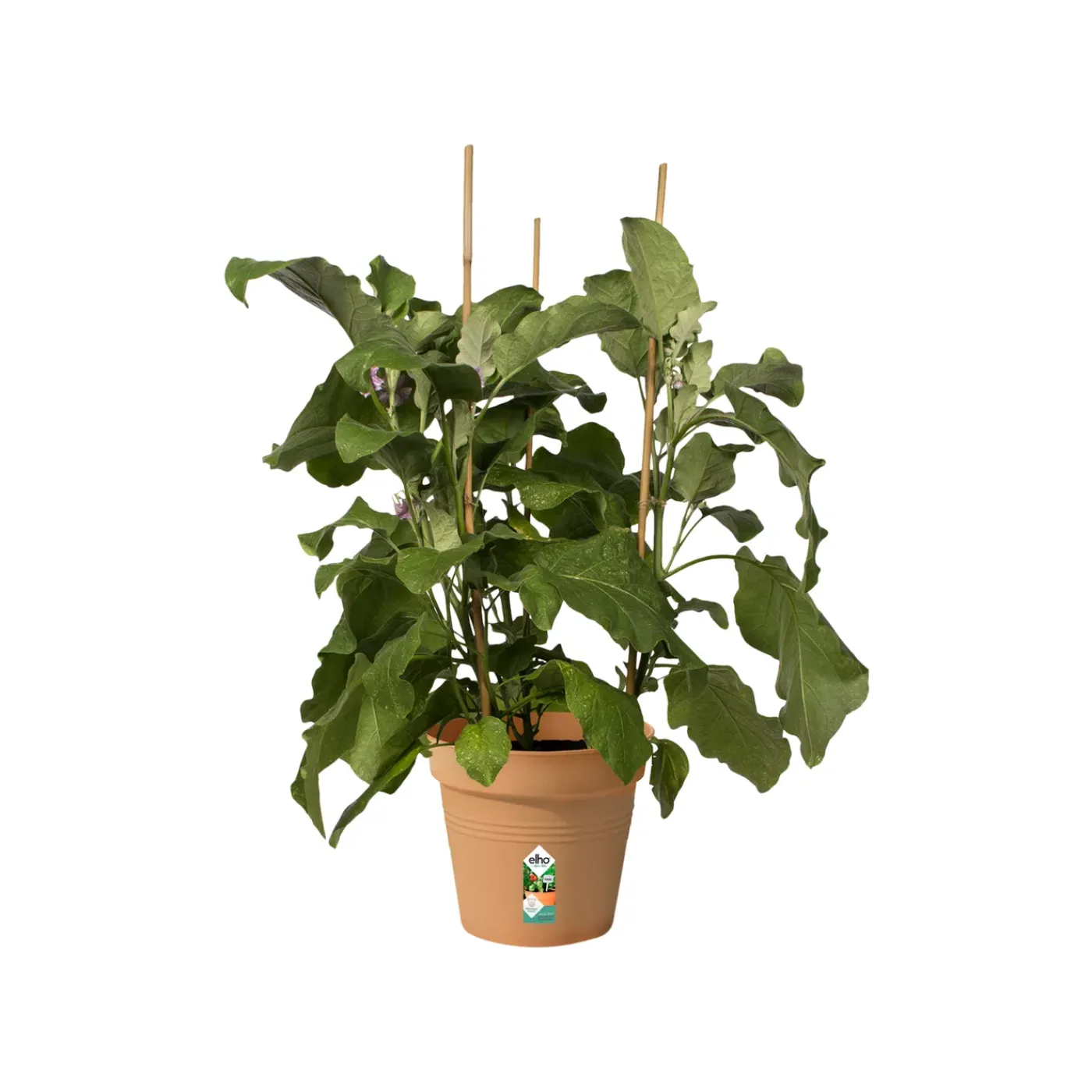 Elho kweekpot Green Basics Ø21cm mild terra