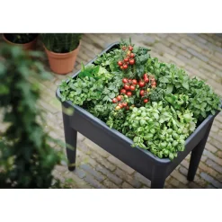 Elho Moestuinbak Green-Basics Super-XXL - Gerecycled-Plastic - Zwart - 56,6x75x22,3cm