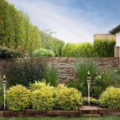 Esschert Design Tuinfakkel - 6x - Bamboe - Navulbaar - 60 Cm