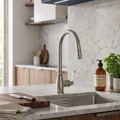 Essebagno Ascott Roestvrijstalen Ééngreeps Wastafelmengkraan Met Uittrekbare Handdouche