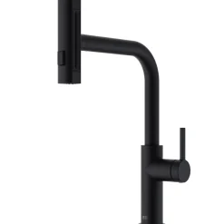 Essebagno Esserain wastafelmengkraan met uittrekbare handdouche in mat zwart