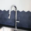 EsseBagno keukenkraan Portofino met uittrekbare douchekop chroom