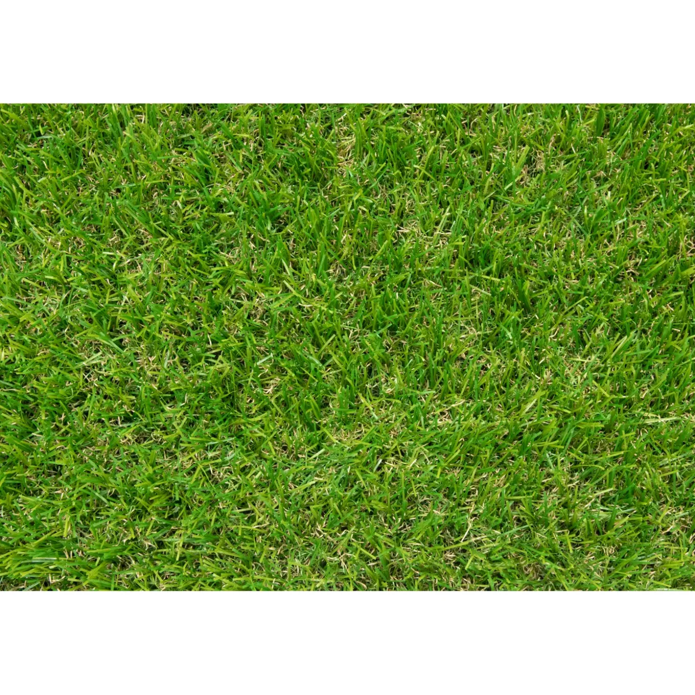 Exelgreen kunstgras Lawn 3cm 2x3m