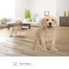 Ezviz beveiligingscamera voor binnen H6C FHD 360° IR-functie infraroodverlichting volgfunctie wit