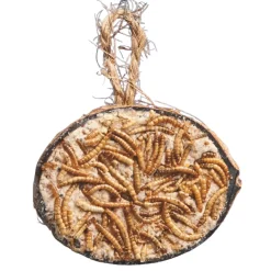 Famiflora Halve Kokosnoot Gevuld - 48 Stuks (9.6kg) - Buitenvogels - Met Meelwormen