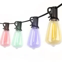 FlinQ Slimme Lichtslinger Premium - 15 meter - Zwart