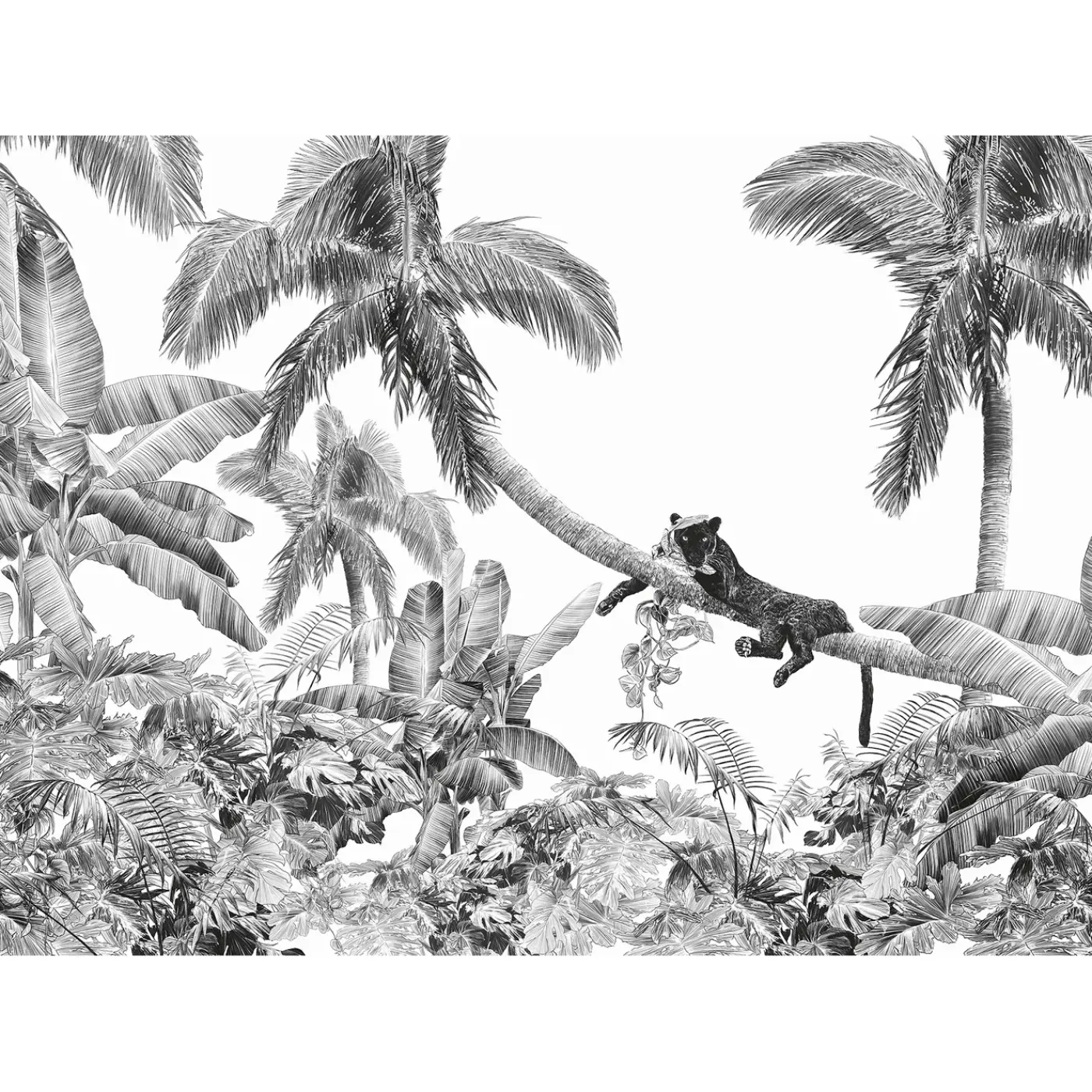 Overig Fotobehang Black Panther - Wit - 2,50m x 350cm