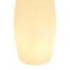 Globo Buitenlamp Vascon Plastic Opaal 1x E27