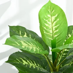 4Goodz Kunstplant Dieffenbachia - Kunstplant Met Pot -120 Cm - Groen