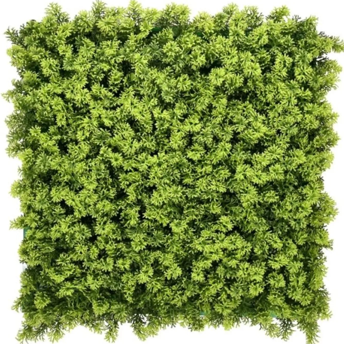 Green Fire 57 - Kunstplant Cali - Fijn Decoratief Blad - 50 X 50 Cm