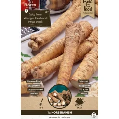 Overig Groentezaden Mierikswortel - Armoracia - 200g