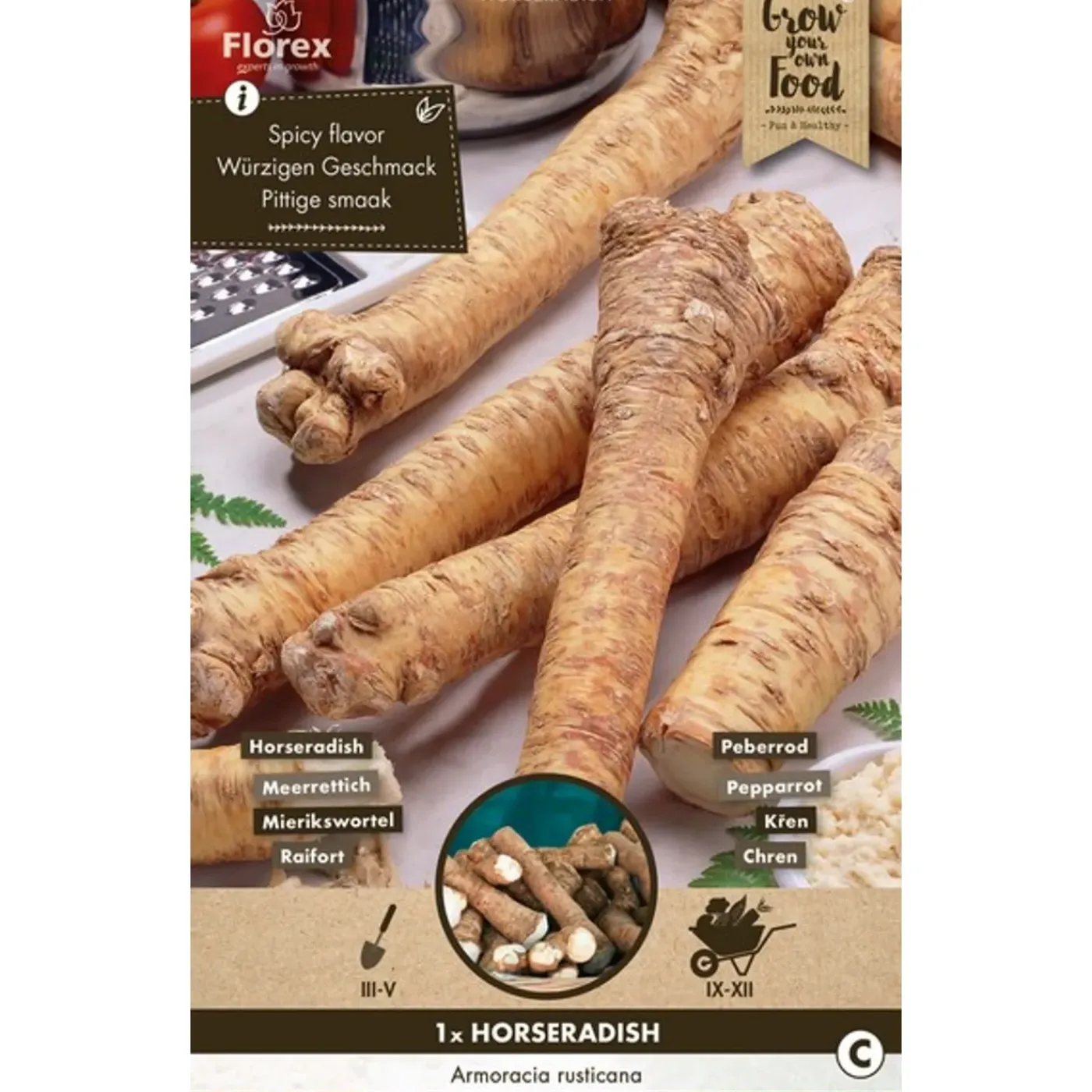 Overig Groentezaden Mierikswortel - Armoracia - 200g