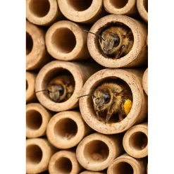 Hem Insectenhotel Hout 37 Cm Rood – Bijenhotel & Insectenhuis – Grenenhout
