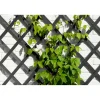 Houten klimrek gekleurd antraciet - FSC® label, 18 x 6 mm - 50 x 150 cm