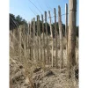 Intergard - Engels Schapenhek Hazelaar 90cmx10m Latafstand 7-8 Cm