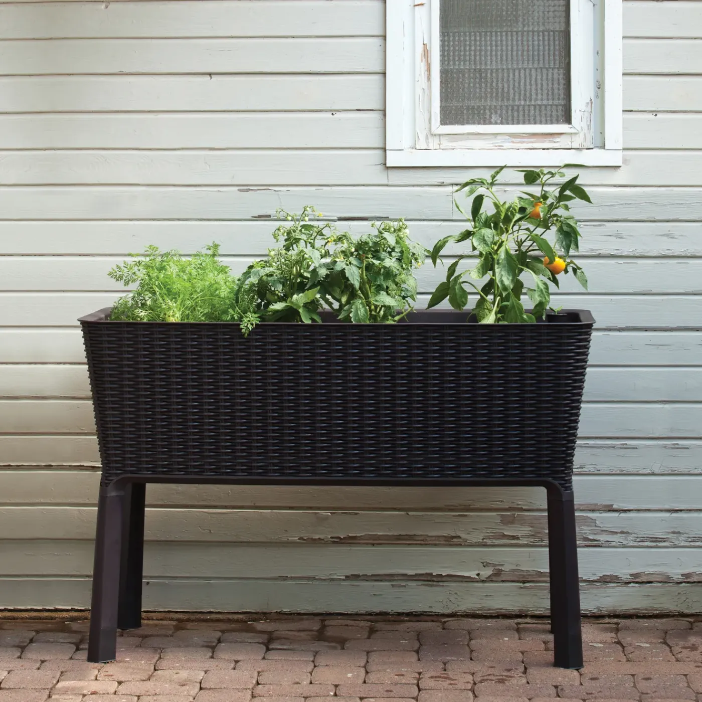 Keter moestuinbak Easy Growing zwart 114x49,3x75,7cm
