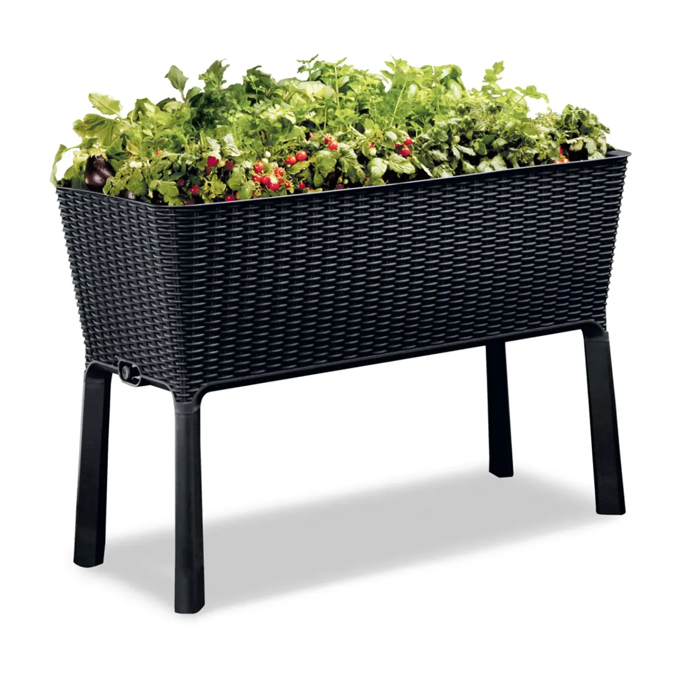 Keter moestuinbak Easy Growing zwart 114x49,3x75,7cm