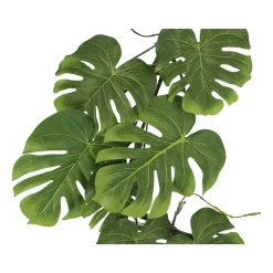 Kopu Hangplant Split Philodendron 119 Cm - Macramé Plantenhanger Xl