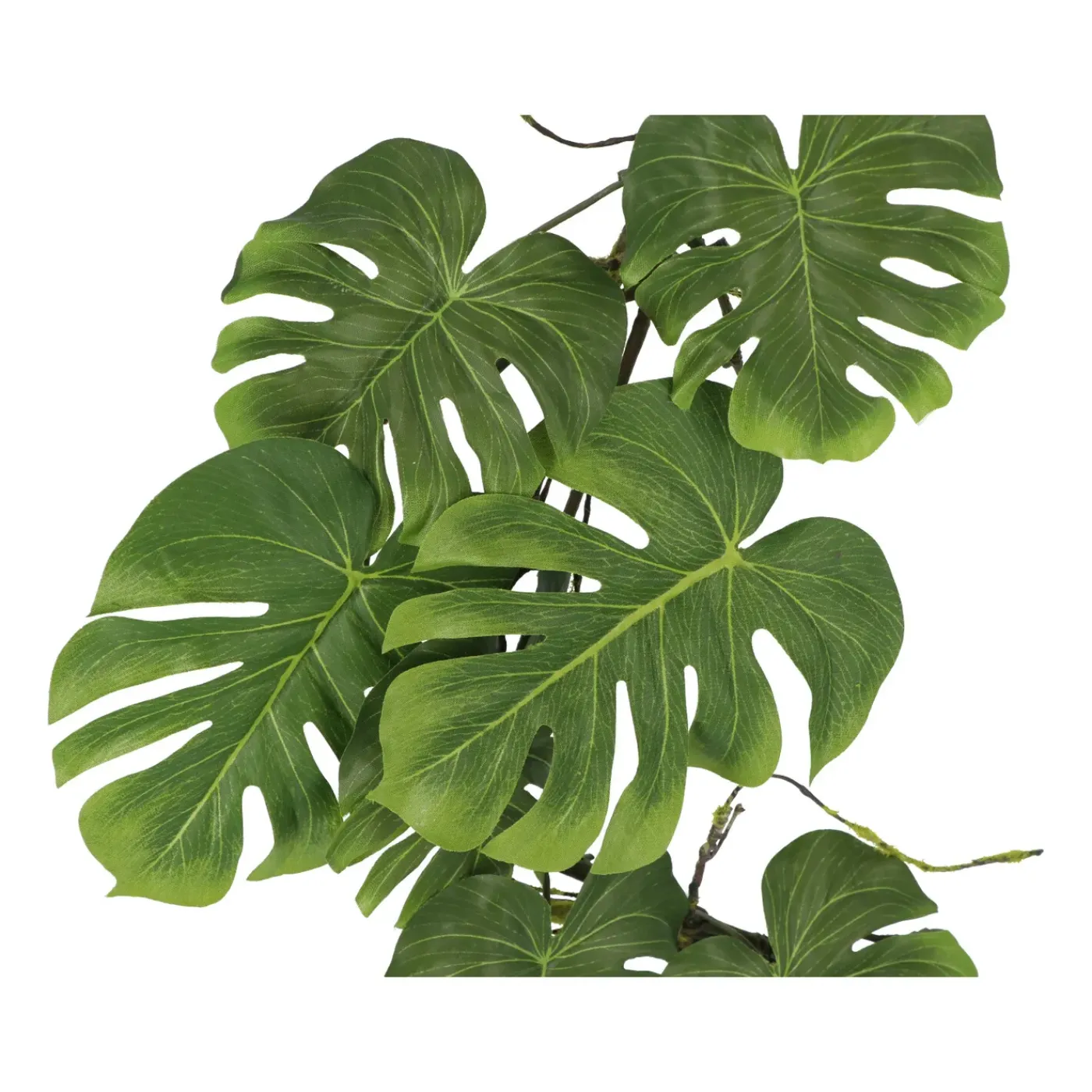 Kopu Hangplant Split Philodendron 119 Cm - Macramé Plantenhanger Xl
