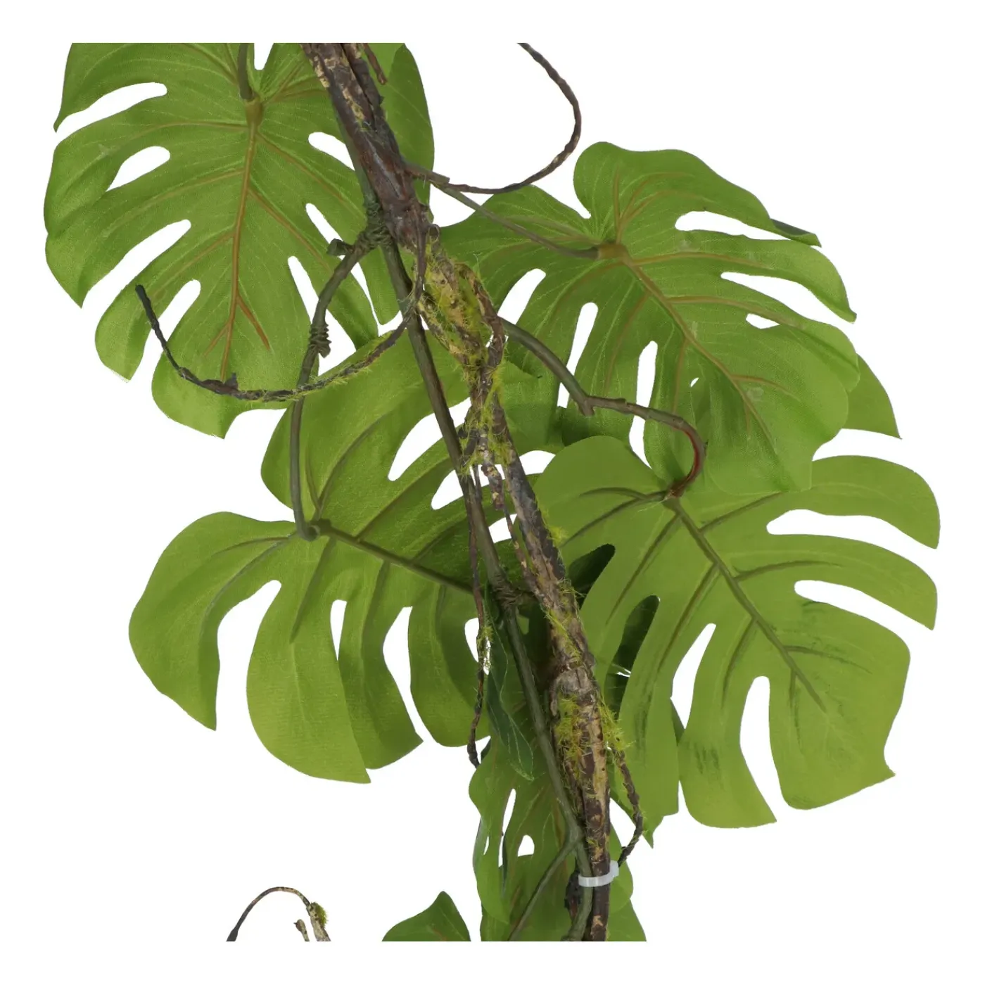 Kopu Hangplant Split Philodendron 119 Cm - Macramé Plantenhanger Xl