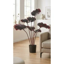 Kopu Palmboom 100 Cm Donkerrood In Een Zwarte Plastic Pot - Kamerplant