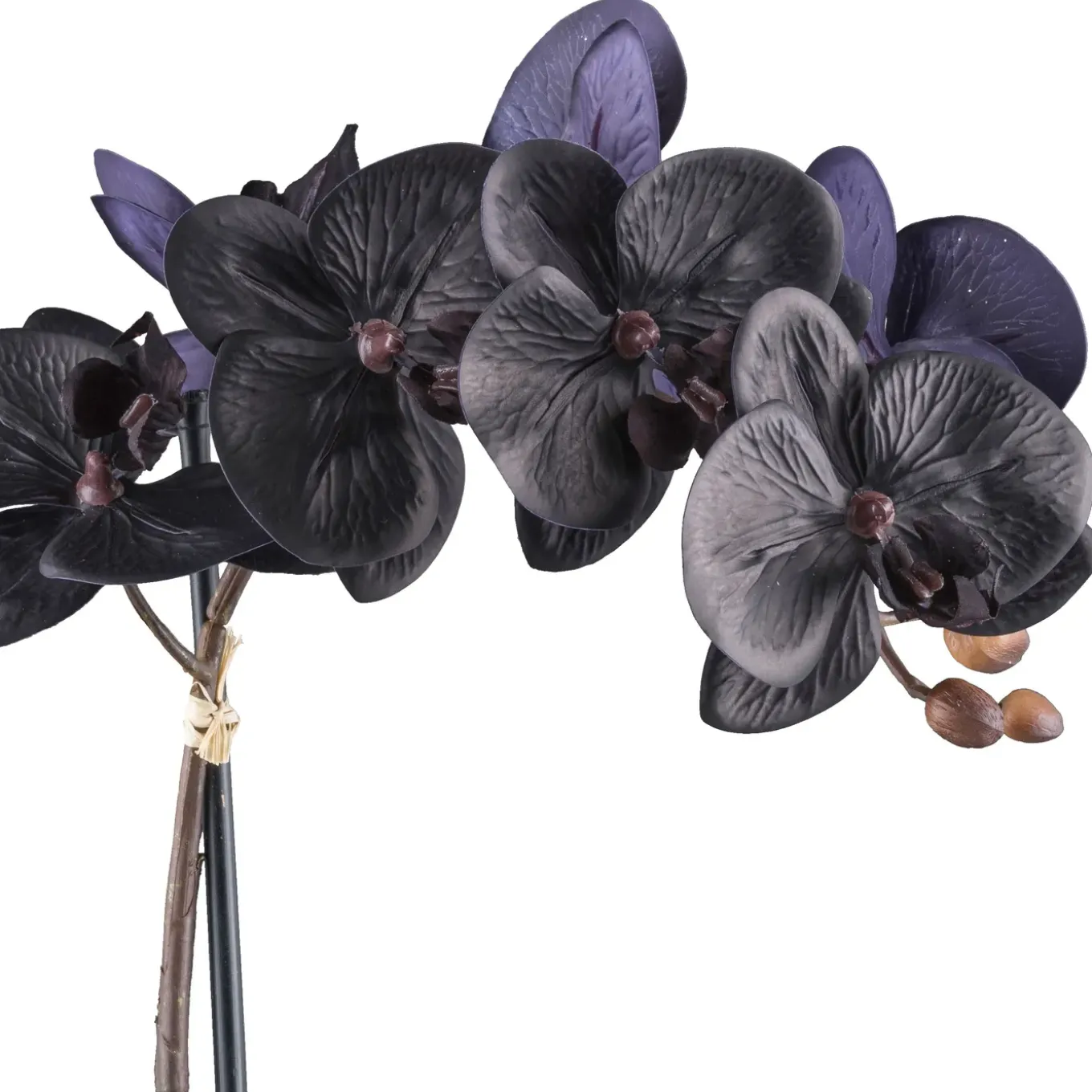 Kopu Phalaenopsis-orchidee – 48 Cm 7 Bloemen, 4 Bladeren - Real Touch - Zwart