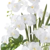 Kopu Phalaenopsis Xl Kunstorchidee 120 Cm - Real Touch - Wit