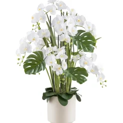 Kopu Phalaenopsis Xl Kunstorchidee 120 Cm - Real Touch - Wit