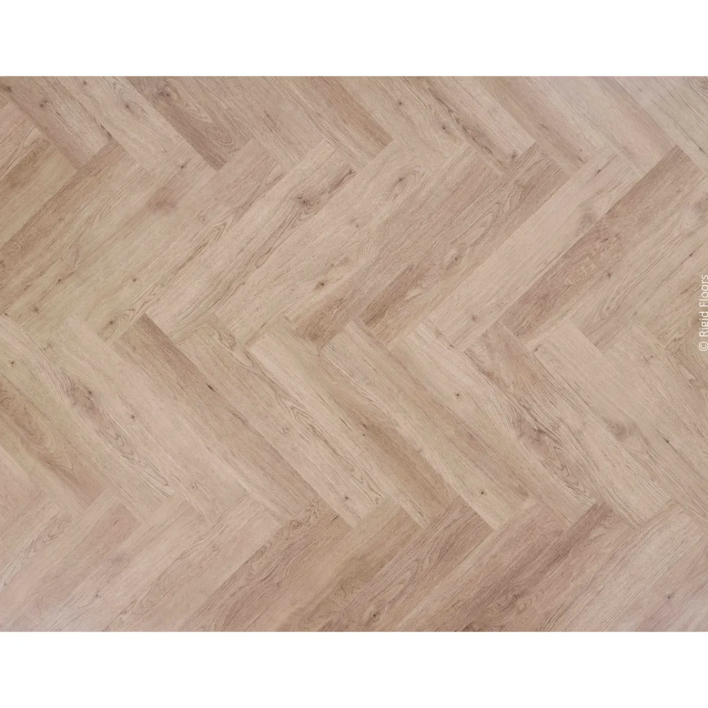 LALEGNO PVC-vloer Bondi - Visgraat - 4-zijdige Micro V-groef - 6,5mm - 1,15m²