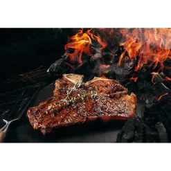 Landmann houtskool Restaurant 10kg