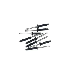 LB Tools Professionele Popnagels Kentekenplaat Zwart (10 St) (lb1193)
