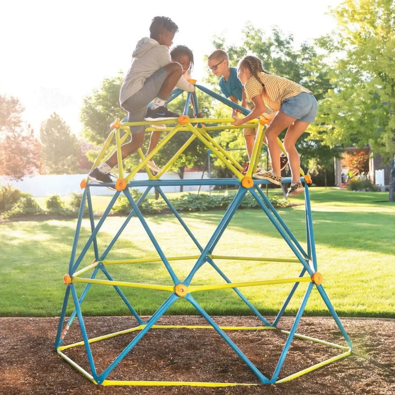 Lifetime Klimrek Geodome Lp91147 - Speeltoestel Voor In De Tuin -0 238 Cm