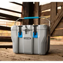 Lifetime Koelbox Premium 27 Liter Lb90911 - 33x55x41cm - Grijs