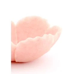 Light & Living - Schaal - FRESIA - Roze - 25.5x24x9.5 cm