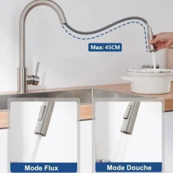 LONHEO MAX Keukenkraan Geborsteld 2 Functies Uittrekbare Handdouche