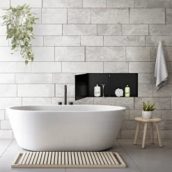 Luxebath Wandnis Douche Roestvrij Staal 25,5x55,5x10 Cm Zwart Met Deur En Plank