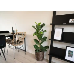 Maximavida Wandrek Jamie Zwart- Boekenrek- Tijdschriftenrek- 180 X 80 Cm