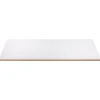 Overig MDF gegrond 122x61cm 18mm