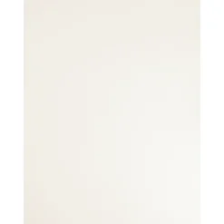 Meubelpaneel Basic White - Gemelamineerd - 250x30 cm - 18 mm