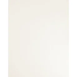 Overig Meubelpaneel - wit - 250x60cm - 18mm