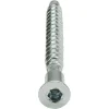 Meubelschroef Gegalvaniseerd Verzonken Kop Inbus - 5x50mm - 16 stuks