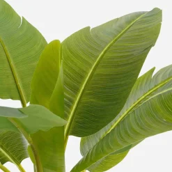 Mica Decorations Artificial Plant Bananenboom - 90x90x155 Cm - Polyester - Green