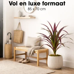 Mica Decorations Bananenboom H85 X D70 Cm Rood